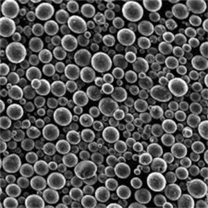 코발트 크롬 CoCrMo 분말