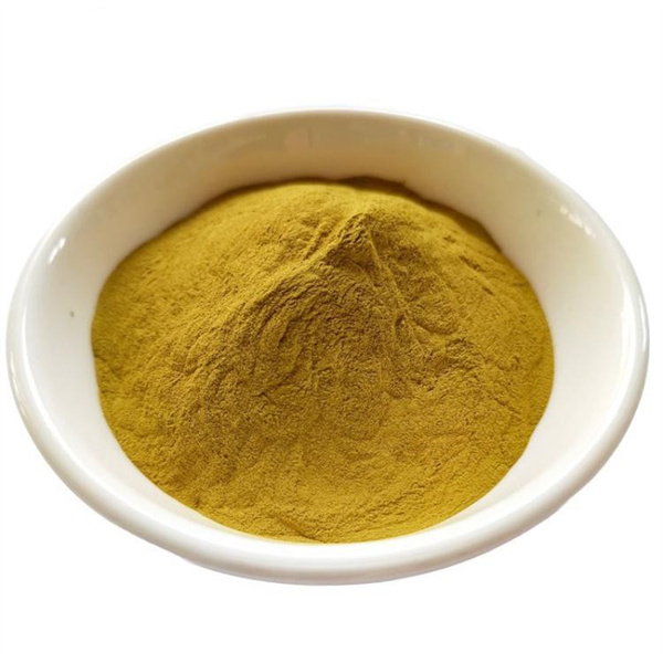 스테인리스 스틸 파우더